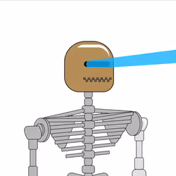 801