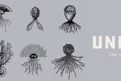 Unigens Test Pack-1