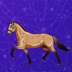 High Horse