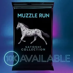 Unopened Horse