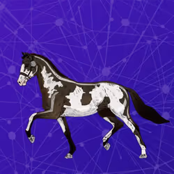 Unnamed Horse