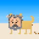 CryptoGoro #Day1627