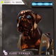 Rare Female Bronze Sharpei: #31105