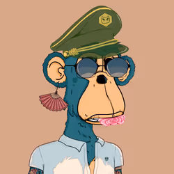 1161