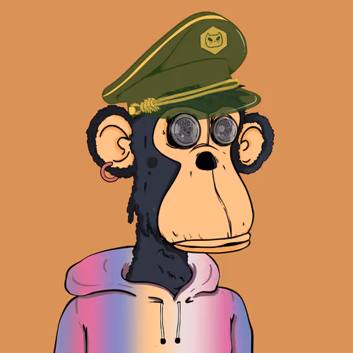 BAAV2 #2933