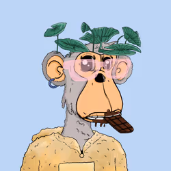 50