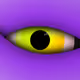 64