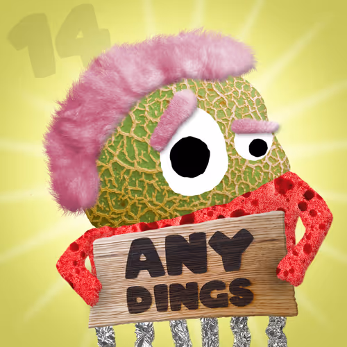 ANYDINGS Ambassadors #14