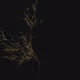 230