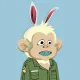 Baby Monkey #1949