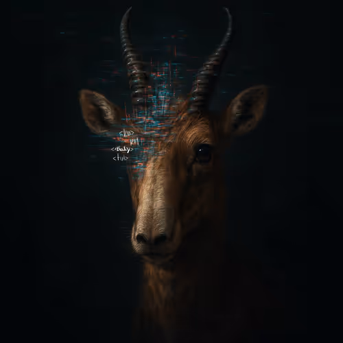 Metasaiga: Technology and Glitches