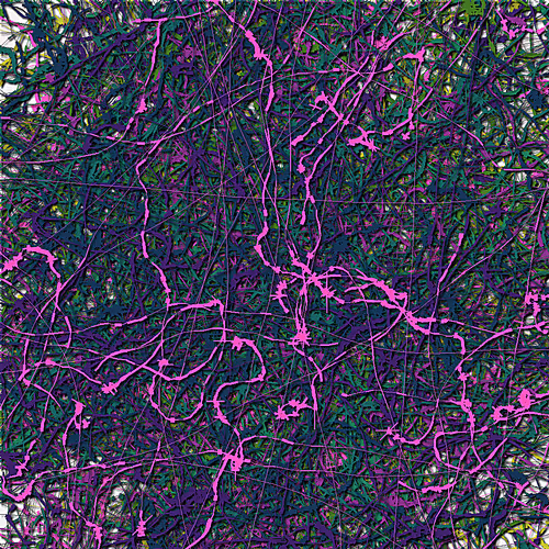 Vibrant Dominions