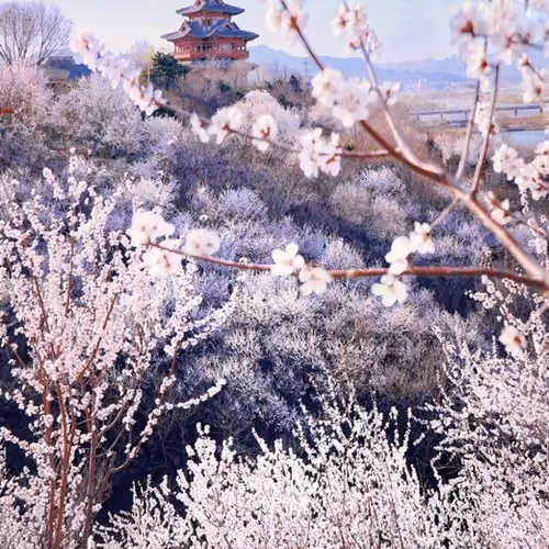 Post by @meteorgarden