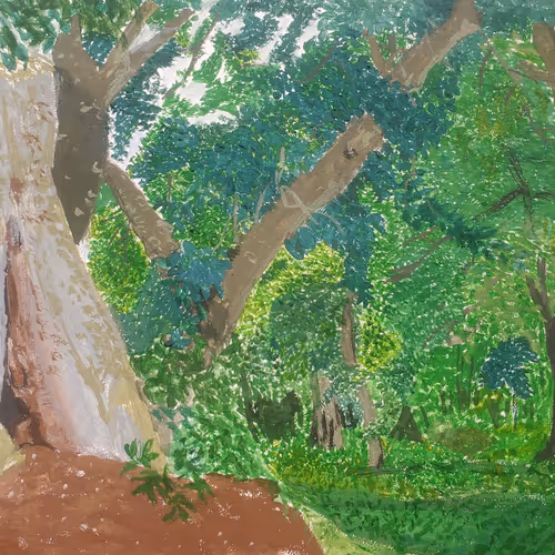 johnbayodee.lens-Collect-13