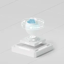 Owlbot egg