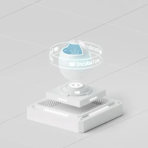 Owlbot egg