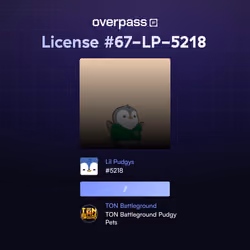OverpassIP: 0x1e1558f687156671cfc740ddec1dec5b341a3565094b2d9e693be93002c26355