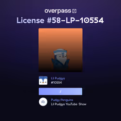 OverpassIP: 0x07f1d742737fa4c4365b76088286b1298f155b978bb69dc7c2636a5b72de4521