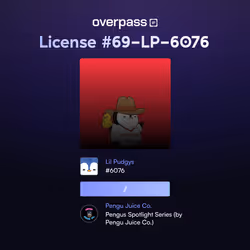64281562257476153387111999228934130714981867456435292276614733053386944676818