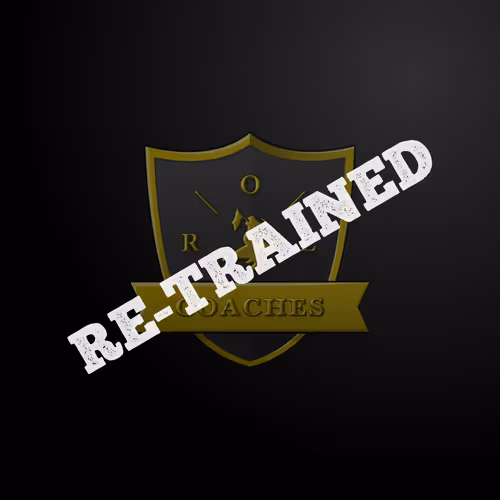 Ocean Racing Coaches Association Beta #438