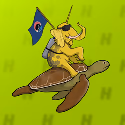 Ocean Racer #24544