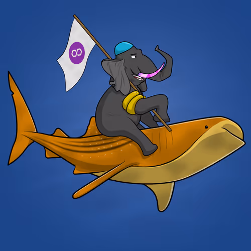 Ocean Racer #3360