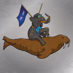 Ocean Racer #14027