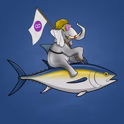 Ocean Racer #16627