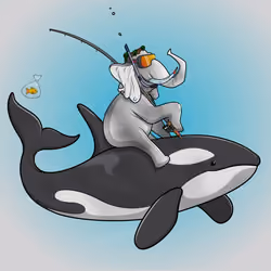 Ocean Racer #24363
