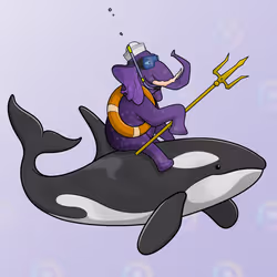 Ocean Racer #14562