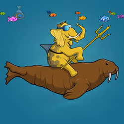 Ocean Racer #23765