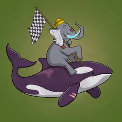 Ocean Racer #4894