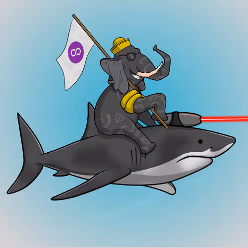 Ocean Racer #2537