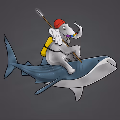 Orl Ocean Racers