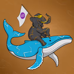 Ocean Racer #24663