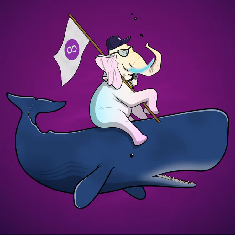 Ocean Racer #13189