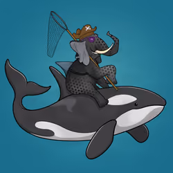 Ocean Racer #24720