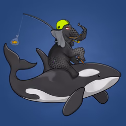 Ocean Racer #23936