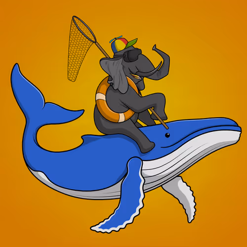 Orl Ocean Racers