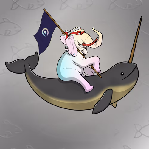 Orl Ocean Racers