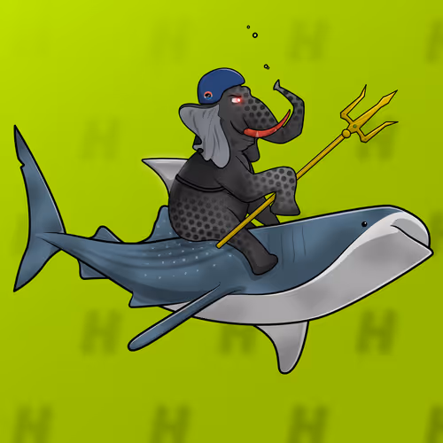 Orl Ocean Racers