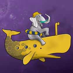 Ocean Racer #15484