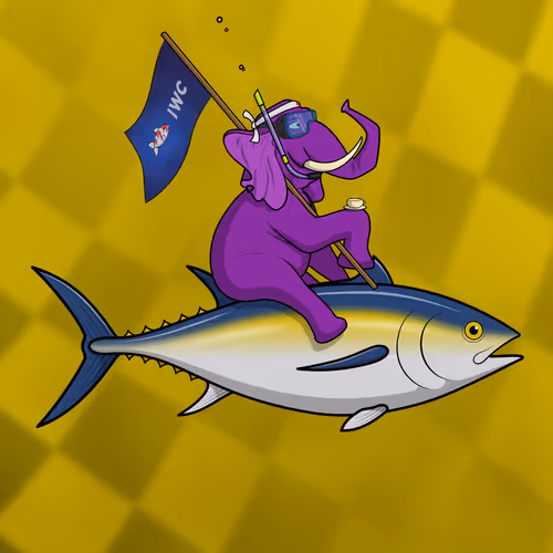 Orl Ocean Racers