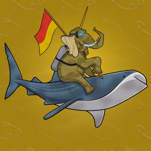 Orl Ocean Racers