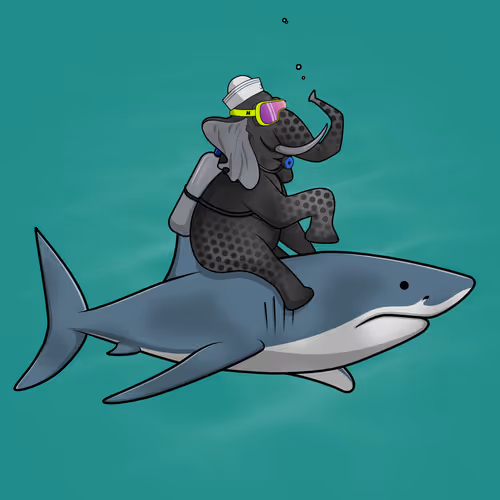 Orl Ocean Racers