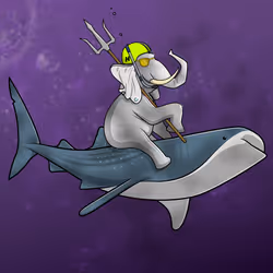 Ocean Racer #11531