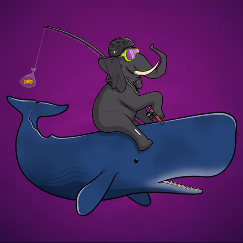 Orl Ocean Racers