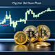 Bitcoin Bull Run 2024