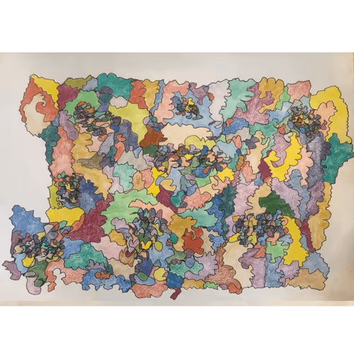 项目媒体占位符