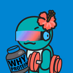 Zeny (ゼニー) #7851